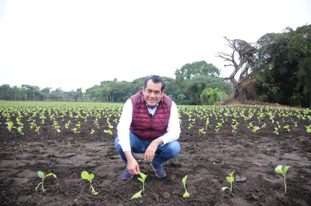 A preservar el patrimonio ambiental de Veracruz convoca Sergio Gutiérrez Luna