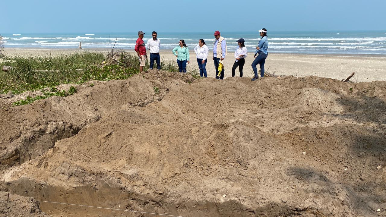 Regiduría cuarta colabora en la búsqueda para la preservación de las tortugas marinas en Tuxpan.