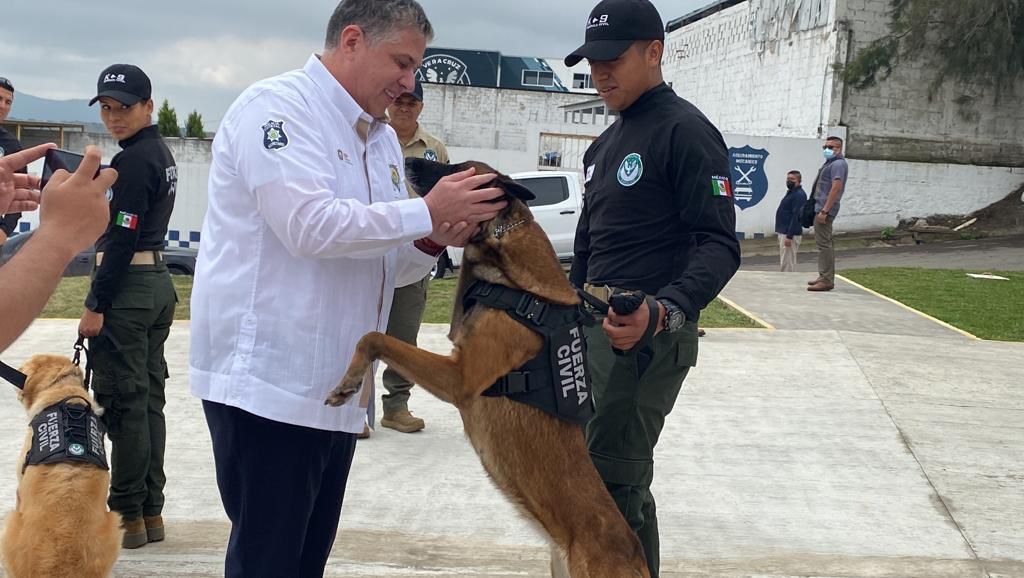 Anuncia Gutiérrez Maldonado Segunda Edición del Diplomado Internacional Táctico K9 Perros Multipropósito en Veracruz