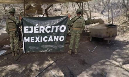Ejército Mexicano asegura 19 laboratorios clandestinos, armamento y equipo en Sinaloa, Sonora y Colima.