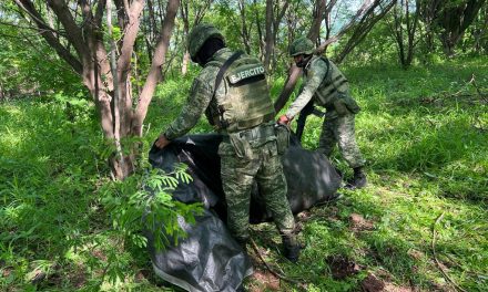 Ejército Mexicano asegura 200 kilogramos de<br>metanfetamina en Sinaloa
