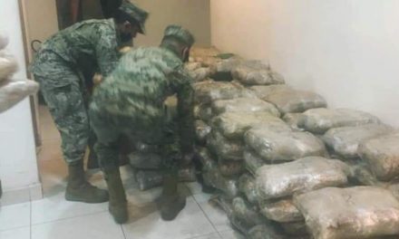 Ejército Mexicano, Guardia Nacional, Fiscalía General de la República y la Fuerza Estatal de Seguridad Ciudadana aseguran 1,800 kilogramos de posible mariguana en Baja California.