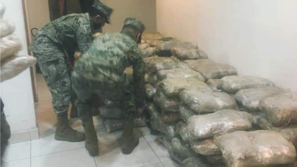 Ejército Mexicano, Guardia Nacional, Fiscalía General de la República y la Fuerza Estatal de Seguridad Ciudadana aseguran 1,800 kilogramos de posible mariguana en Baja California.