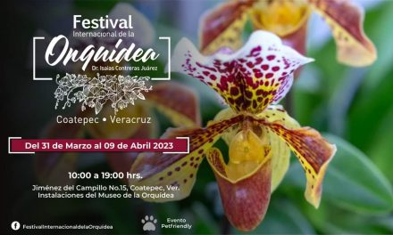 Festival Internacional de la Orquídea