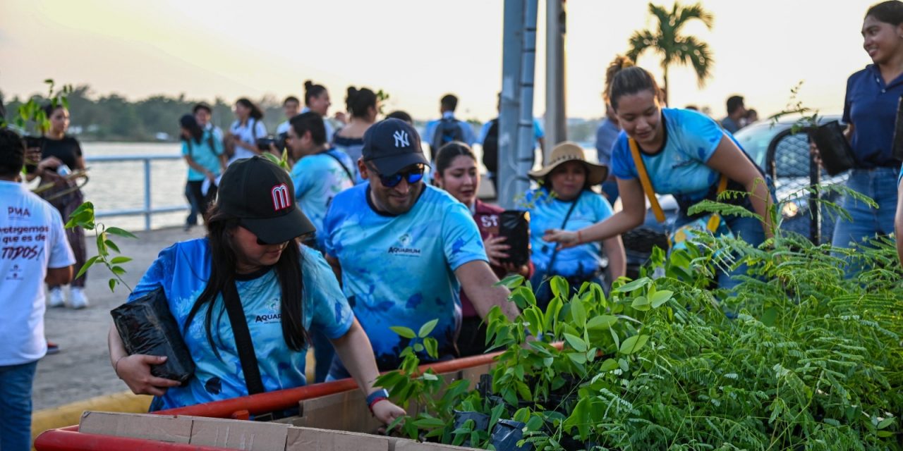 Un éxito el Papaqui del “Ambientón: Festival Ecológico”, en Tuxpan
