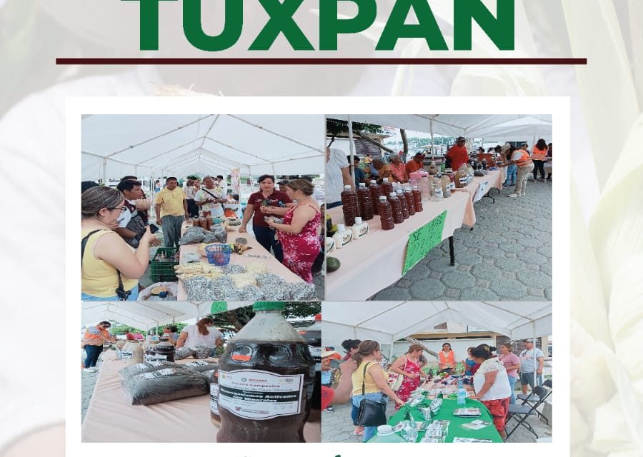 Campesinos de Tuxpan ofrecerán productos frescos del campo, este sábado, en la explanada de la presidencia municipal