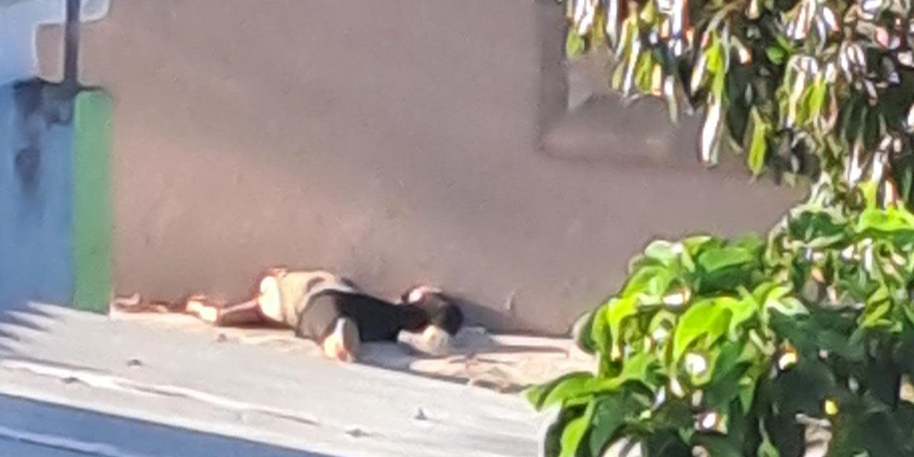 Otro feminicidio en tuxpan