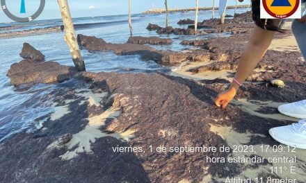 No hay contaminación de playas con hidrocarburo; se trata de macroalgas Sargassum (Sargazo)