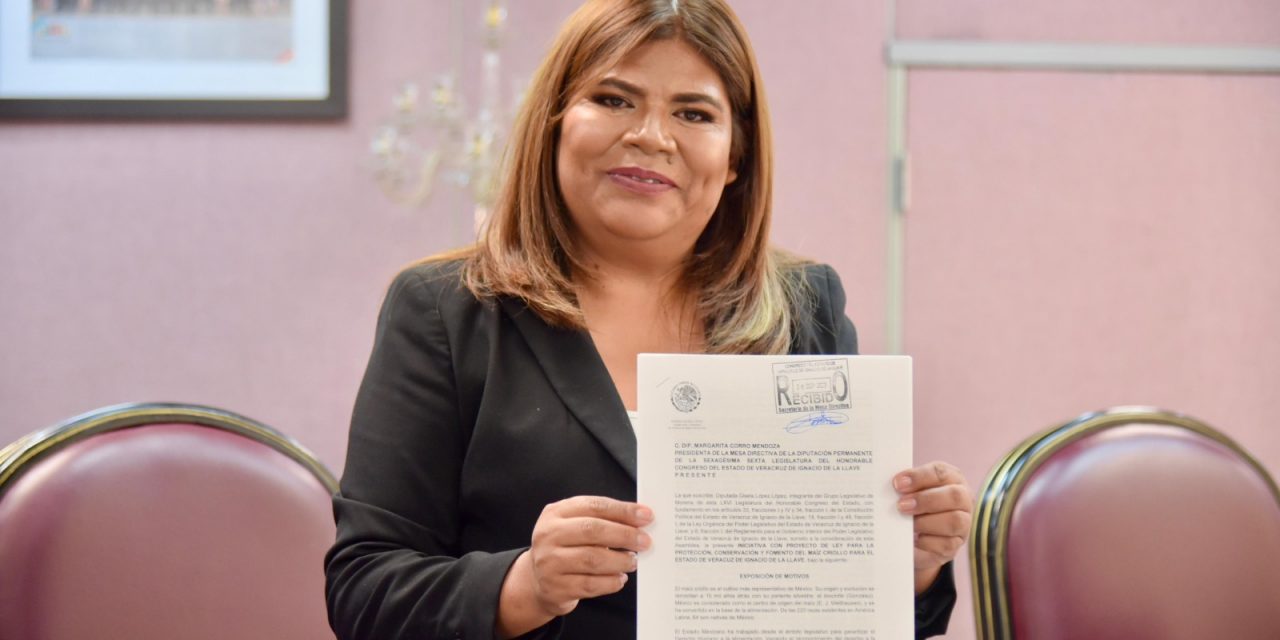 <em>Propone Diputada nueva Ley para la Protección del Maíz Criollo</em>