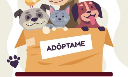 Jornada de Adopción de Perros y Gatos, el próximo miércoles 4 de octubre
