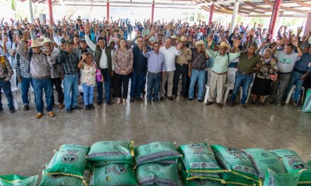 Con la entrega de semilla de frijol de alta calidad, se cultivarán 560 hectáreas, en beneficio de cientos de familias del campo