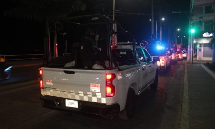 “Ejército Mexicano, despliega fuerza militar para reforzar la seguridad en los municipios de Tuxpan, Poza Rica y Tihuatlán”.