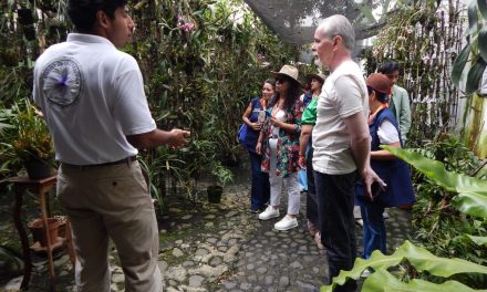 Desde Coatepec a Colombia; Festival Internacional de la Orquídea fomenta turismo orquideofilo