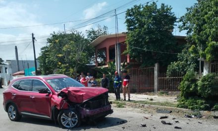 IMPACTA CONTRA ARBOLES FRUTALES