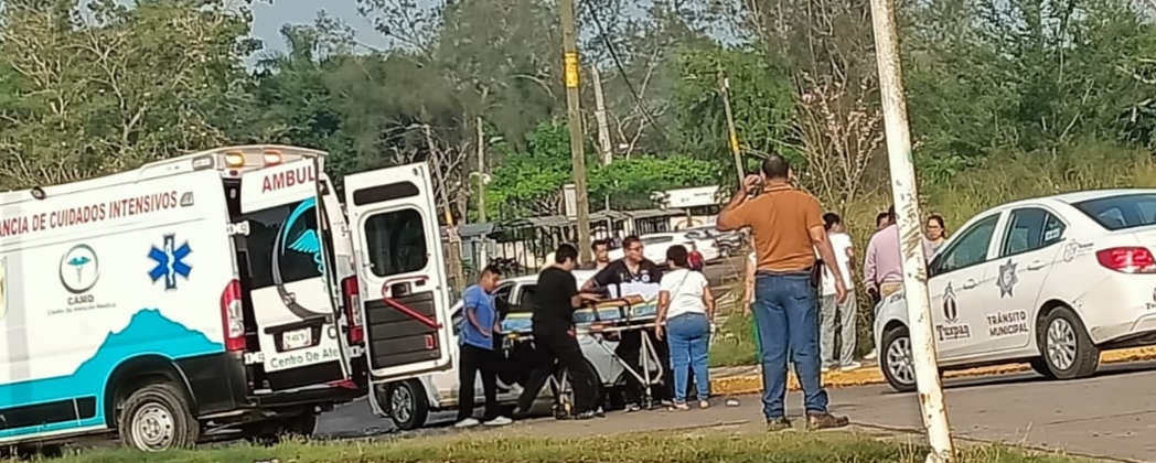 COLISIONAN EN JARDINES