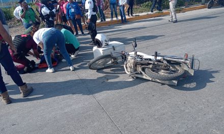 DERRAPÓ EN LA MATA