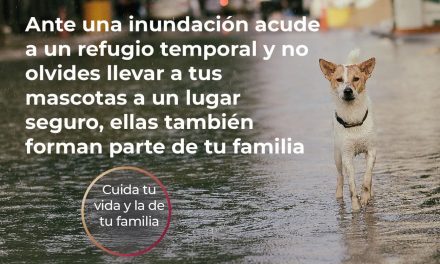 Tuxpan en “Alerta Gris” por Temporal Lluvioso-Disturbio Tropical. Se recomienda tomar precauciones.