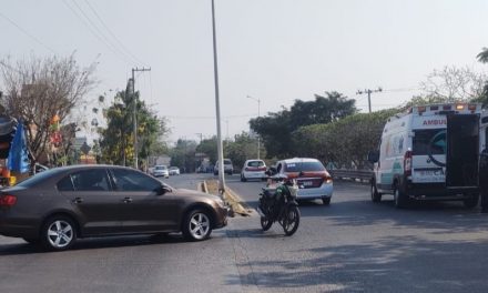 JETTA ESTAMPA A ITALIKA