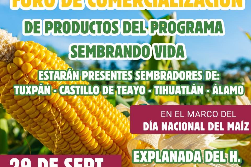 Foro de Comercialización de Productos del programa “Sembrando Vida”, en la plaza cívica de Tuxpan, el próximo domingo