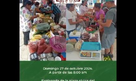 Apoyemos a productores locales en el “Mercadito Solidario”, el próximo domingo, en la Plaza Cívica.