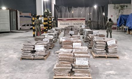 Personal Naval en apoyo a la Aduana Marítima asegura aproximadamente 3,275 kilogramos de presunta marihuana, en el Recinto Portuario de Veracruz