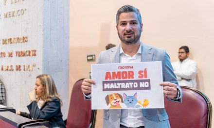 «Victoria para los Animales! Reforma histórica aprobada en el congreso de Veracruz»