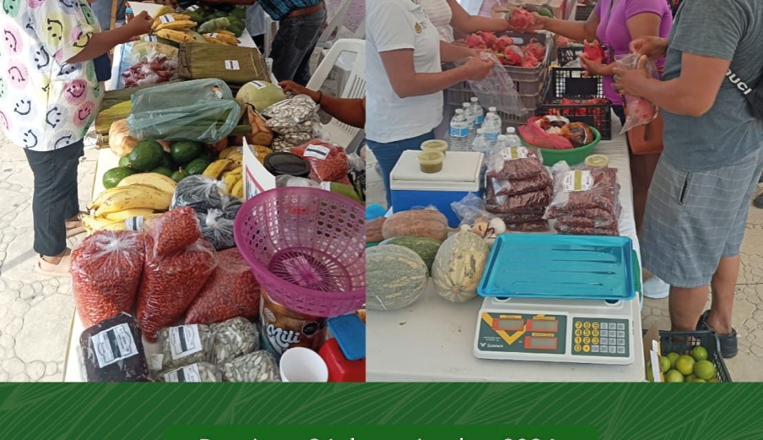 Apoyemos a los productores locales en su “Mercadito Solidario”, que se realizará mañana domingo en la Plaza Cívica