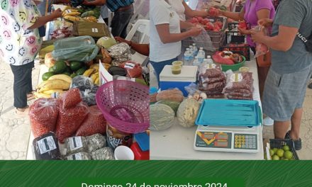 Apoyemos a los productores locales en su “Mercadito Solidario”, que se realizará mañana domingo en la Plaza Cívica