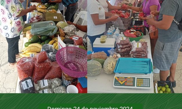 Apoyemos a los productores locales en su “Mercadito Solidario”, que se realizará mañana domingo en la Plaza Cívica