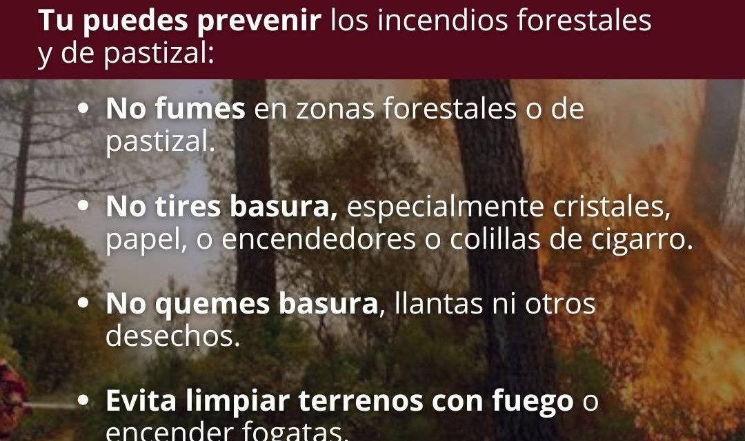 Gobierno de Tuxpan emite recomendaciones para prevenir incendios de pastizales en colonias y zonas suburbanas