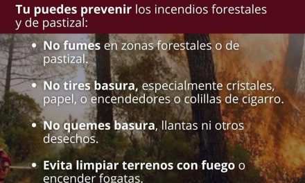 Gobierno de Tuxpan emite recomendaciones para prevenir incendios de pastizales en colonias y zonas suburbanas