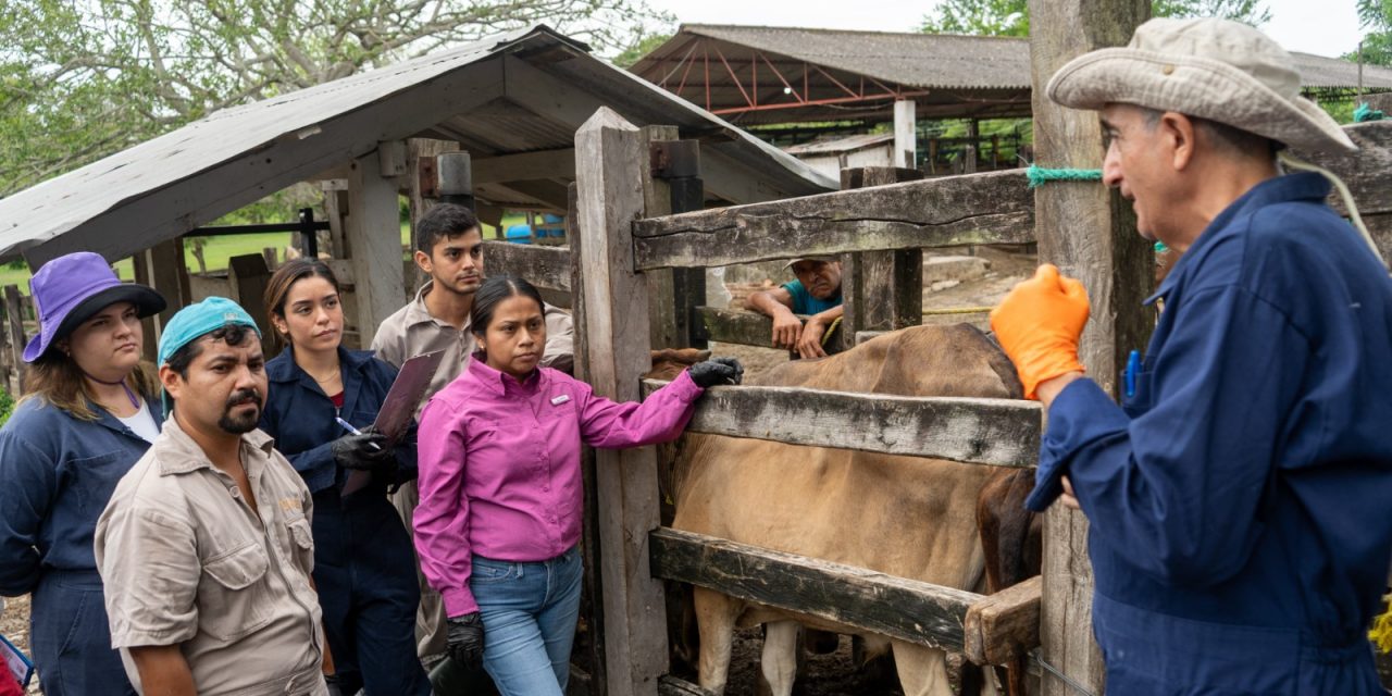 Capacitan a médicos zootecnistas de la región en el manejo de Tuberculosis Bovina