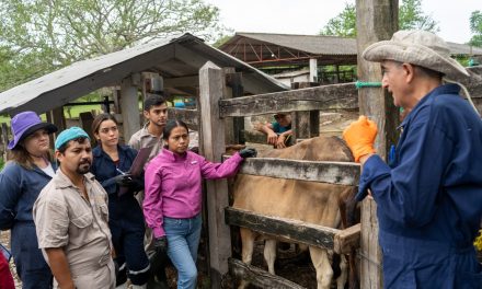 Capacitan a médicos zootecnistas de la región en el manejo de Tuberculosis Bovina
