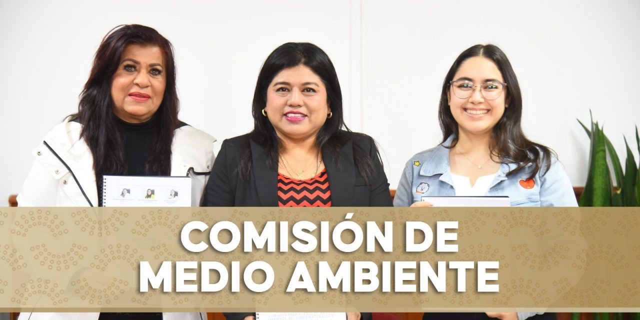 Abierta, convocatoria para otorgar el premio al Mérito Ambiental 2025
