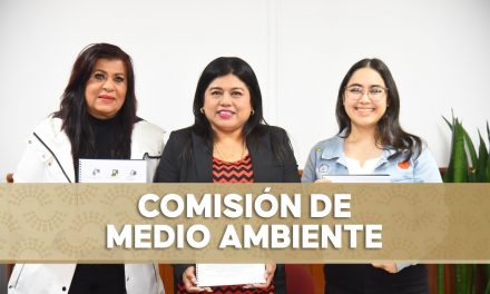 Abierta, convocatoria para otorgar el premio al Mérito Ambiental 2025