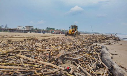 Gobierno de Tuxpan lleva a cabo la limpieza de Playa Barra Norte, que se encontraba llena de palizada