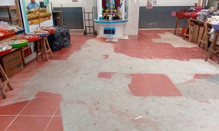 Piden mejoras para el Piso