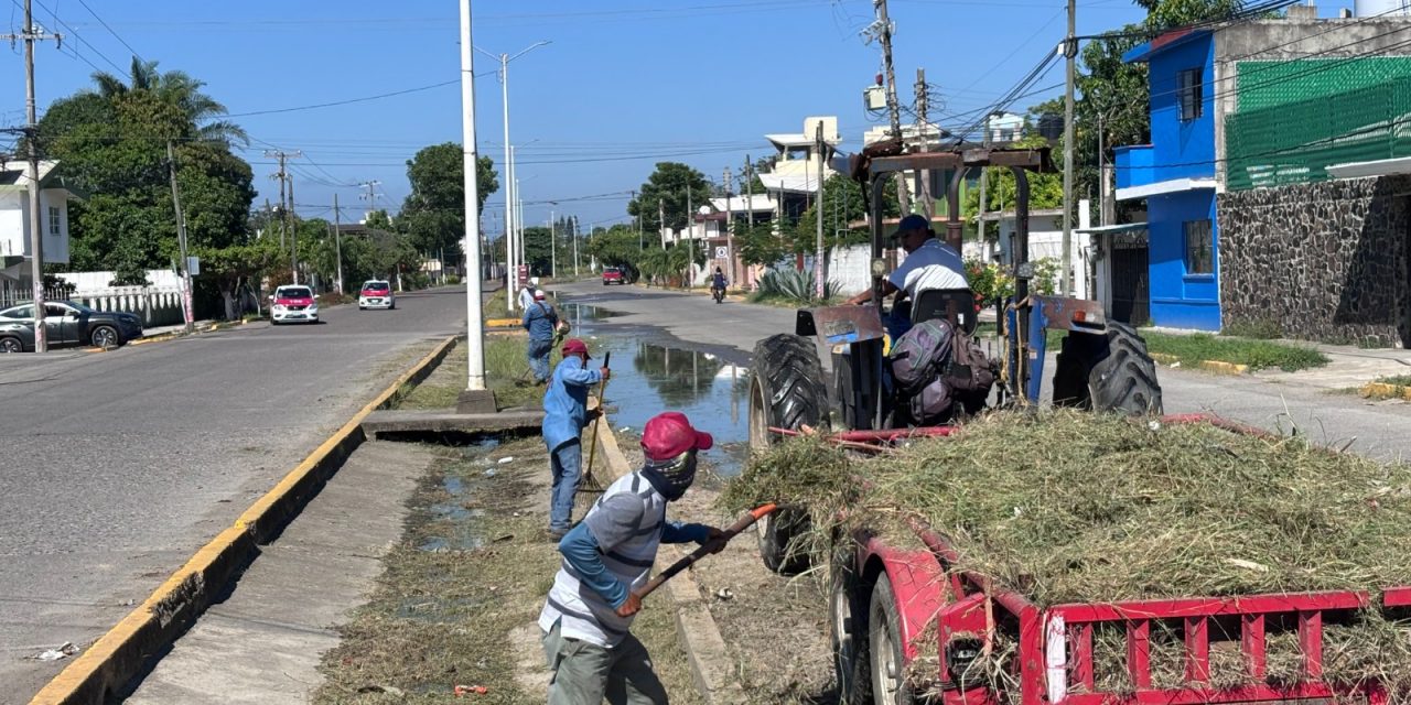 Se realiza la limpieza, saneamiento y desazolve de la avenida Cuauhtémoc con personal de Obras Públicas, CAEV y Parques y Jardines