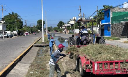 Se realiza la limpieza, saneamiento y desazolve de la avenida Cuauhtémoc con personal de Obras Públicas, CAEV y Parques y Jardines