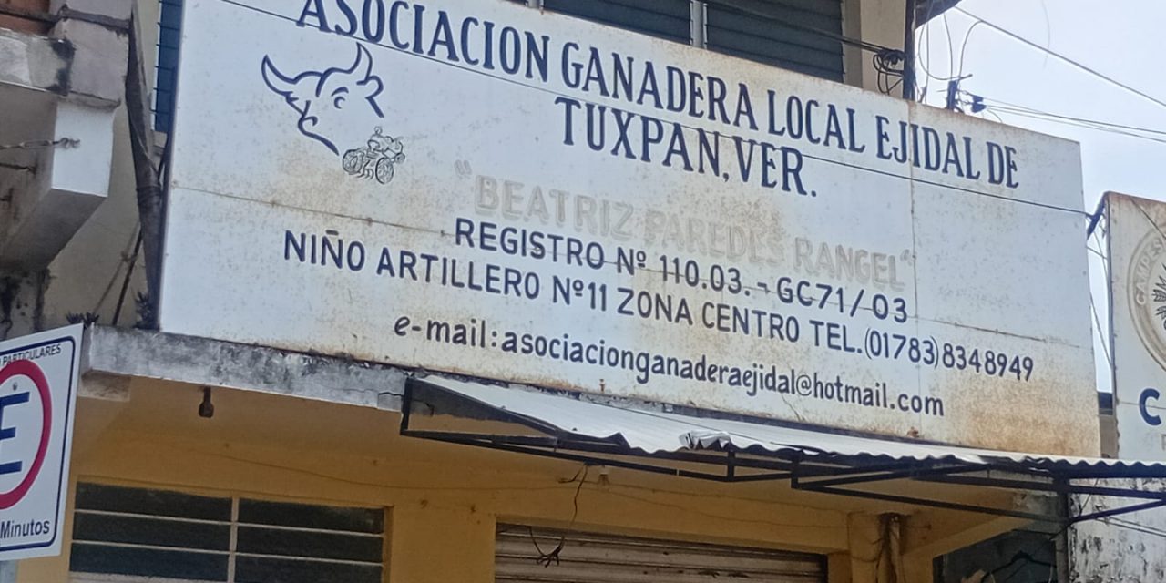 Dará Seguimiento a los Temas Pendientes
