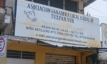 Dará Seguimiento a los Temas Pendientes