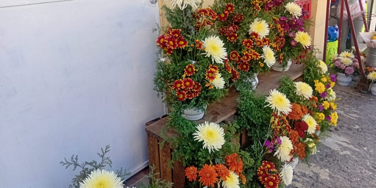 Altas temperaturas afectan a los propietarios de las Florerías