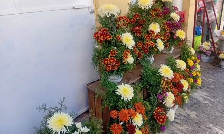 Altas temperaturas afectan a los propietarios de las Florerías