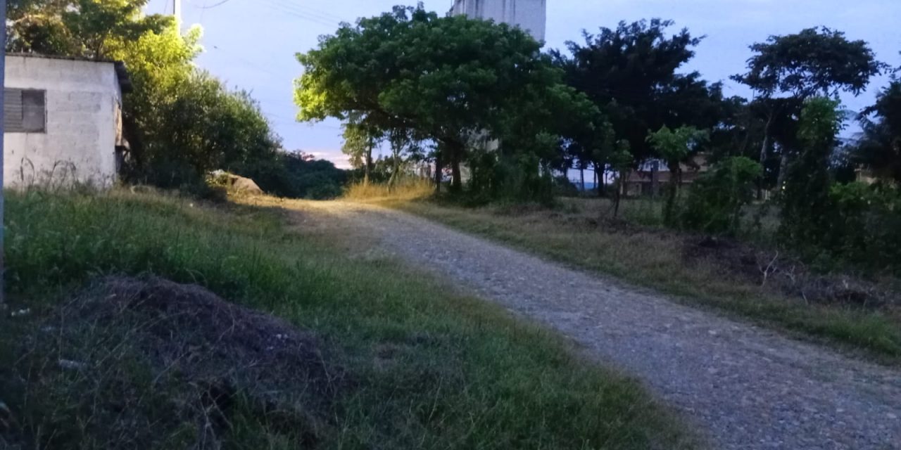 Piden más luminarias en la comunidad de Ceiba Rica