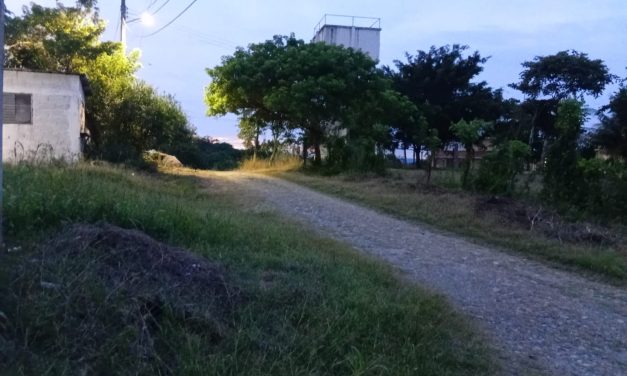 Piden más luminarias en la comunidad de Ceiba Rica