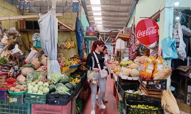 Vendedores de Frutas y Verduras esperan Repunte
