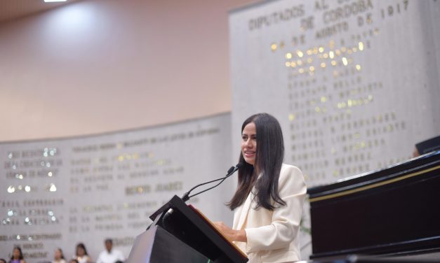 Pide diputada solución a constantes apagones en la zona Veracruz-Boca del Río