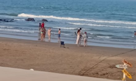 Por Puente Prestadores de Servicios esperan Repunte