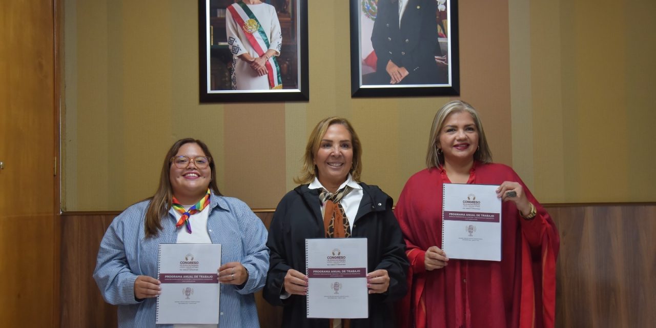 Aprueba Comisión de Periodistas programa de trabajo para segundo año
