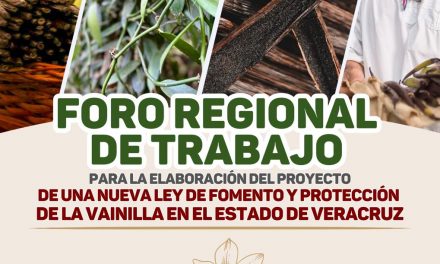Anuncia diputada foros regionales para elaborar nueva Ley de la Vainilla